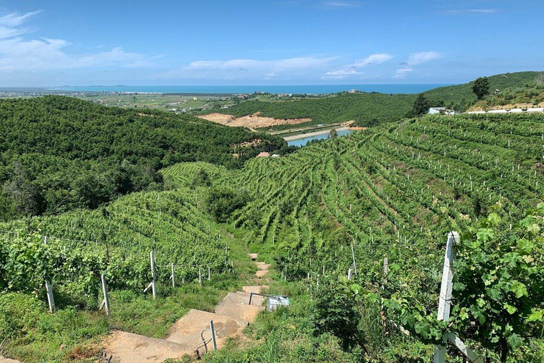 Dégustation de vins, visite facultative des vignobles et balades en kayak.Dégustation de vin avec prise en charge et retour