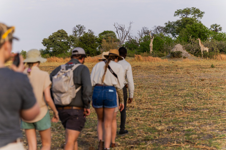 Mokoro Safari Experience in the Okavango Delta