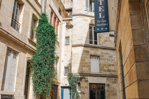 Bordeaux: Small Group Historical & Gourmet Guided Visit