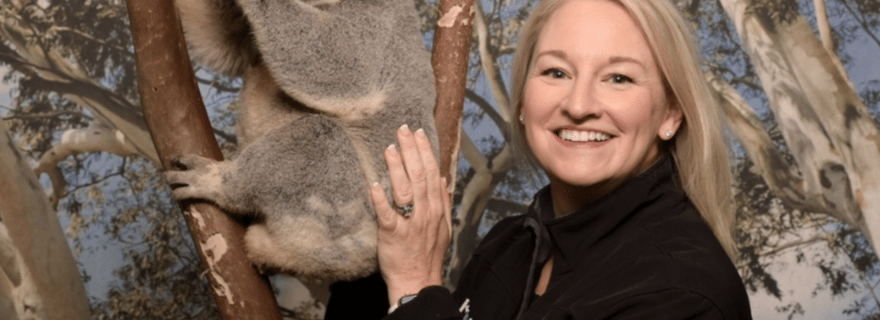 Montagnes Bleues : téléphériques, koalas, kangourous (max. 10 personnes)