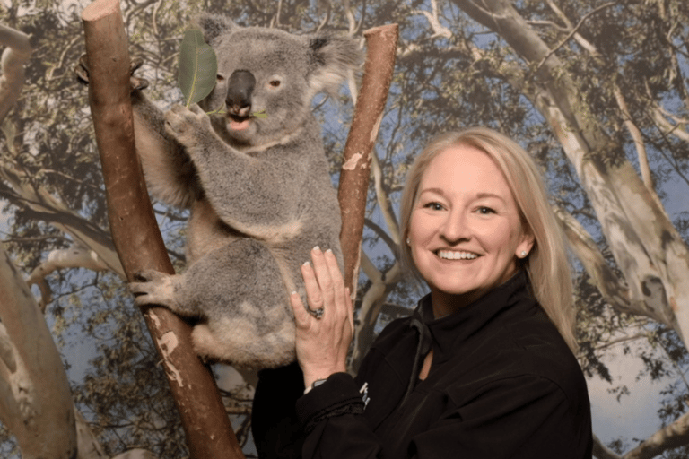 蓝山之旅：风景世界、翎羽谷（最多10人）蓝山之旅：风景世界、翎羽谷（含接送）
