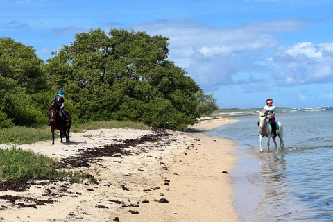 Saint-François : Balade à cheval en bord de mer de 2h30