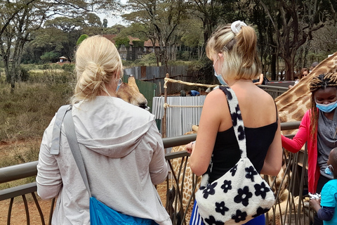 Nairobi: Parco nazionale, orfanotrofio degli elefanti e tour delle giraffe