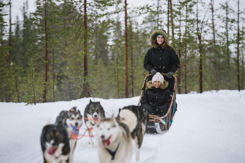 Rovaniemi: Santa Claus Village, Husky & Reindeer Tour