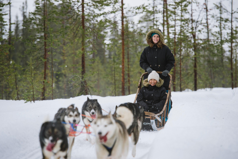 Rovaniemi: Santa Claus Village, Husky & Reindeer Tour