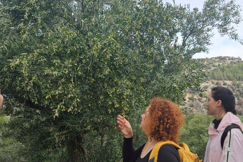 Athens: Mount Hymettus Dragon House Hike