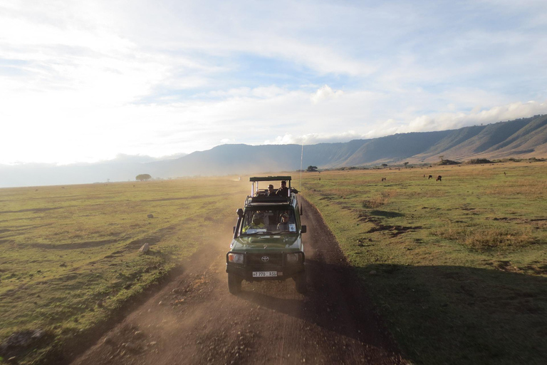 3-Day Small Group Safari to Maasai Mara: Adventure Awaits