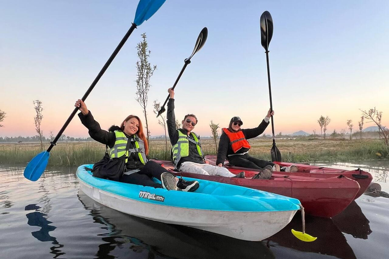 Xochimilco: Paseo en kayak y observación de ajolote