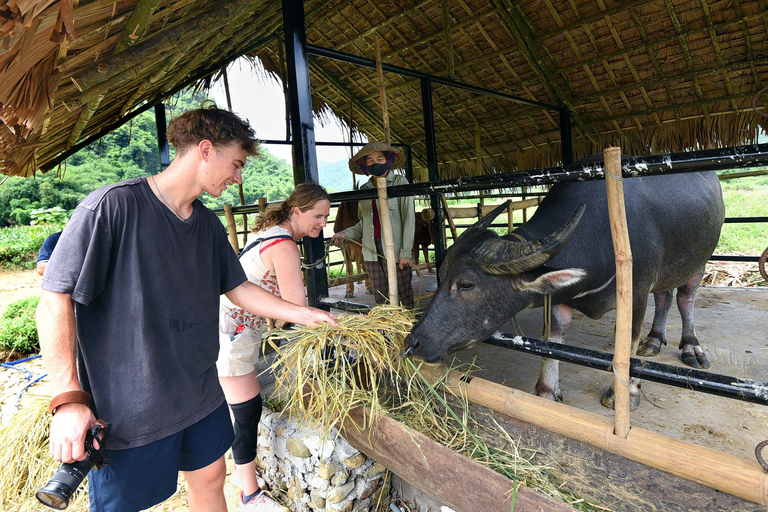 Pu Luong: Water Wheels, Buffalo & Village Life Half-day tour