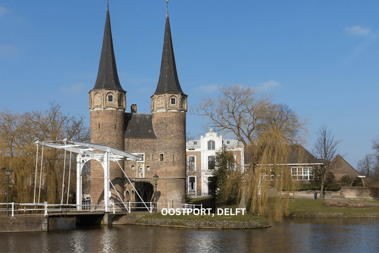 Excursão a pé diária por Roterdã e Delft