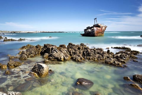 From Cape Town: Southern Tip of Africa Day Tour with Pickup