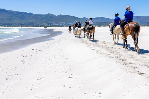 Randonnée à cheval - Vue sur la plage ou la montagne : Le Cap