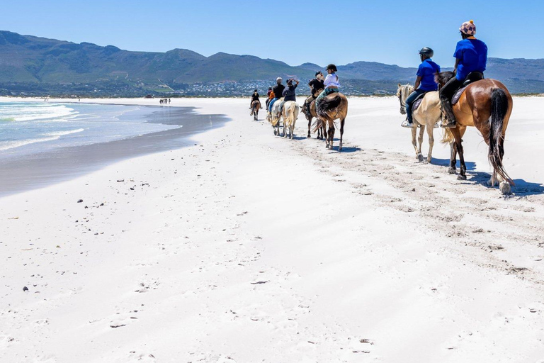 Randonnée à cheval - Vue sur la plage ou la montagne : Le Cap