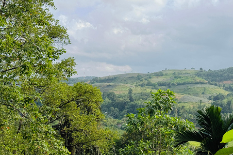 From Colombo: Cave Temples, Jungle Trek & Waterfall Swim