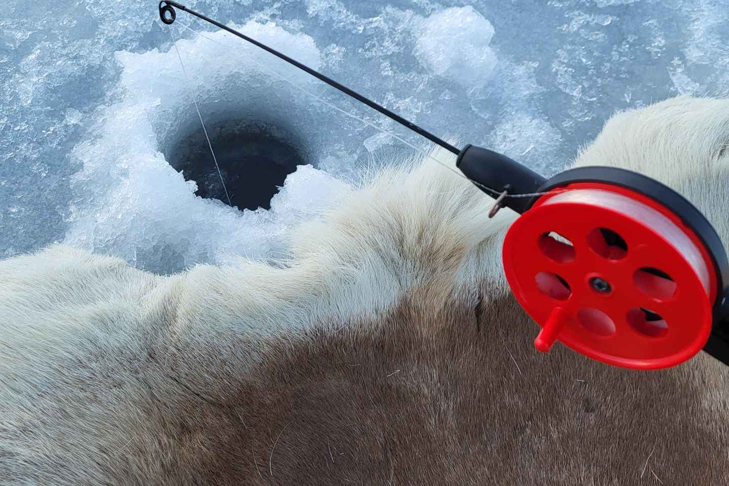 Tromsø : Pêche sur glace et randonnée en raquettes