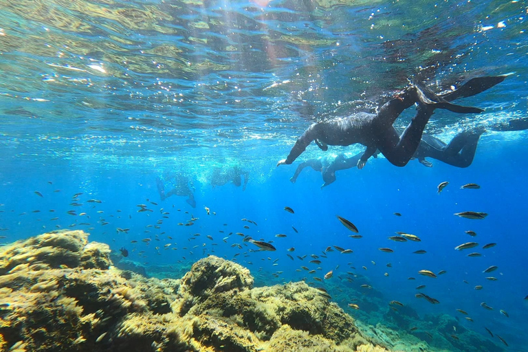 Abades: snorkeltocht in een beschermd zeegebied