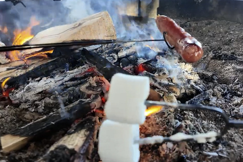 Rovaniemi: Local Guide Riisitunturi National Park Day Trip