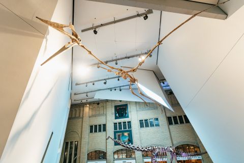 Toronto: Royal Ontario Museum Eintrittsvoucher