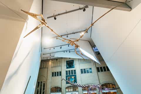 Toronto: Royal Ontario Museum General Admission Voucher