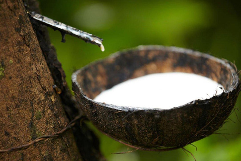 La migliore guida di viaggio dello Sri Lanka: Attrazioni principali Scoprire