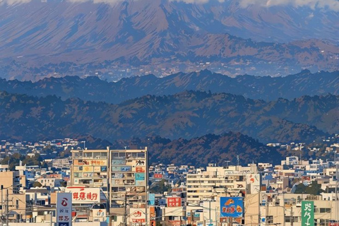 Tokyo: Mount Fuji And Hakone Private Tour Full Customizable