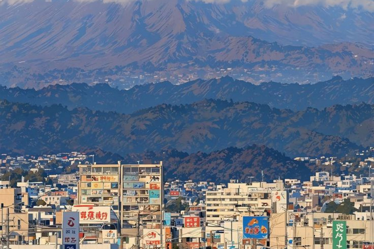 Tokyo: Mount Fuji And Hakone Private Tour Full Customizable