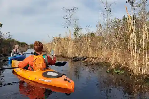 Pântano de Okefenokee: Tour guiado de caiaque com um naturalista local