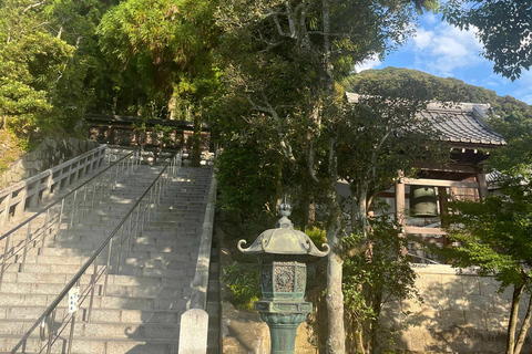 E-Bike Tour in Kyoto with Asuka, Japanese graduate student