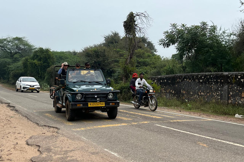 Delhi: 2-Day Ranthambore Safari by Car with Hotel Delhi to Ranthambore Overnight Tour with Safari & 3* Resort