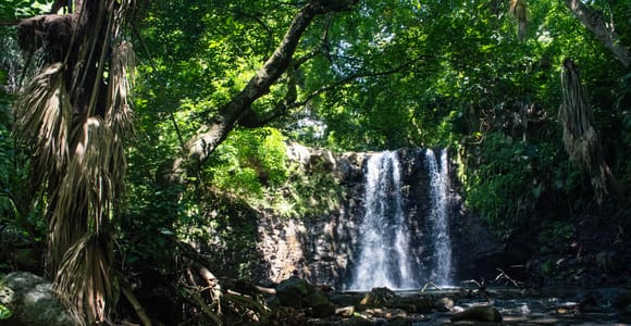 Mauritius Gris Gris: Guided Coastal Walk & Waterfall Hike