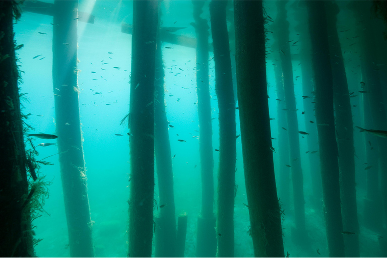 Lago Ohrid: prueba el buceo en la Bahía de los Huesos.Lago Ohrid: prueba el buceo en la Bahía de los Huesos