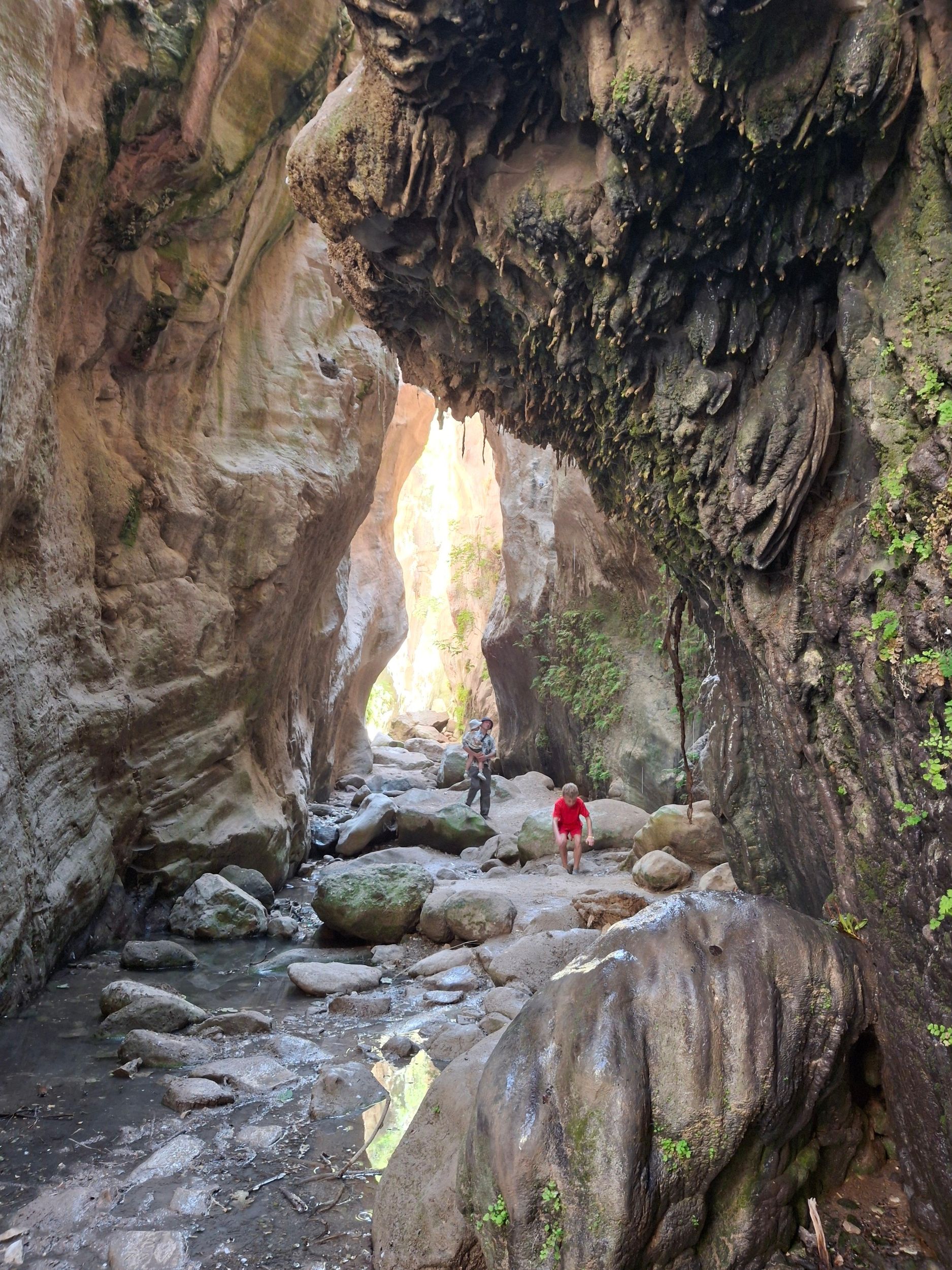 Akamas-Halbtagestour im Jeep mit Schlucht und 1-stündigem Schwimmen in der Bucht von Lára