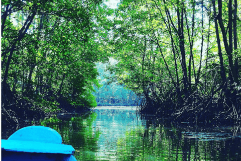 Au départ de HCM : visite privée de Can Gio avec la réserve de la lagune des chauves-sourisAu départ de HCM : la forêt de mangroves de Can Gio et le crocodile terrestre