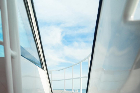 Phuket: Phi Phi Islands Day Trip with Meals & Transfer