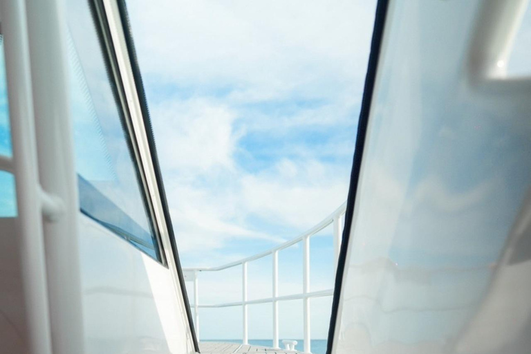 Phuket: Phi Phi Islands Day Trip with Meals & Transfer