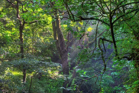 Private Tour Diria National Park Unspoken Hiking and Nature