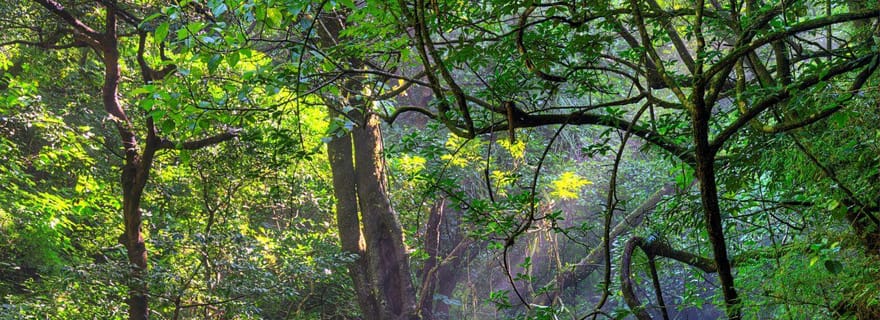 Visite privée Parc national de Diria Randonnée et nature méconnues