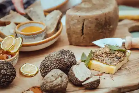 From Rome: Truffle Hunt and Wine Tasting in Umbria