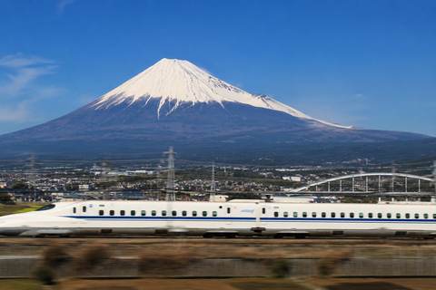 Fuji & Hakone Private Car Tour with Bullet Train Return