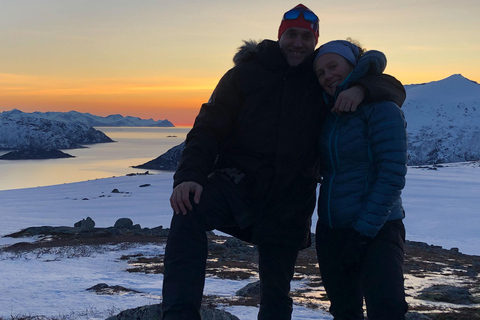 Tromsø : Tour des fjords et des plages avec feu de camp et photos