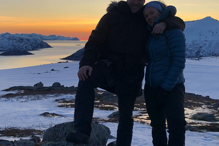 Tromsø : Tour des fjords et des plages avec feu de camp et photos