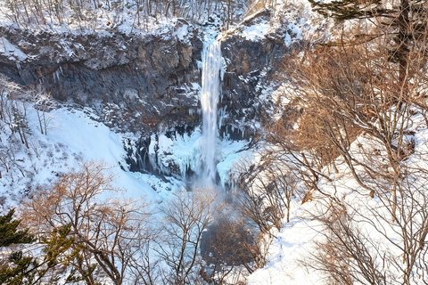Nikko Small Group: Hotel Pickup, Kegon Falls & Toshogu Private Sightseeing Tours