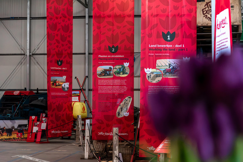 From Amsterdam: Tulip Experience and Tulip Fields Tour 4-hour tour Tulip Experience