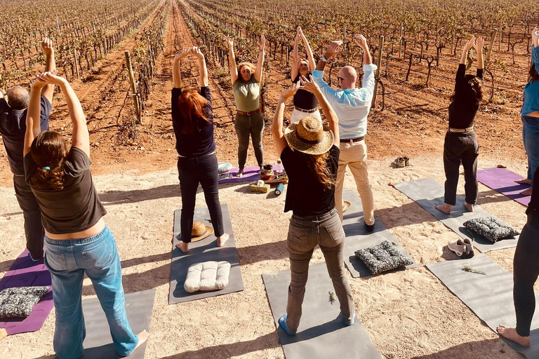 Palma: QI GONG bij BODEGAS BORDOY