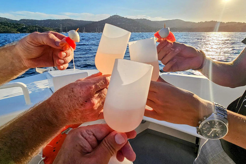 Tasting cruise in the bay of Bormes les Mimosas on a hybrid boat