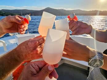 Bormes-les-Mimosas: Aperitif Tasting Cruise at Sea on an electric boat
