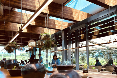 Jeju: Small Group Tour w/Pink Muhly & Tangerine Picking