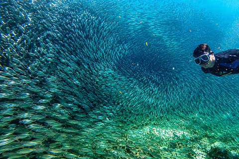 Cebu: 2-Day Camping, Kawasan & Moalboal Adventure