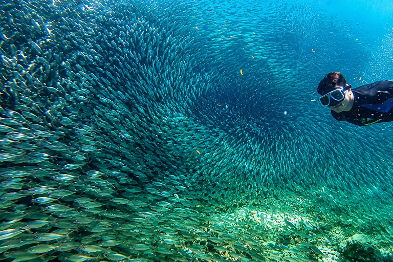 Cebu: 2-Day Camping, Kawasan & Moalboal Adventure