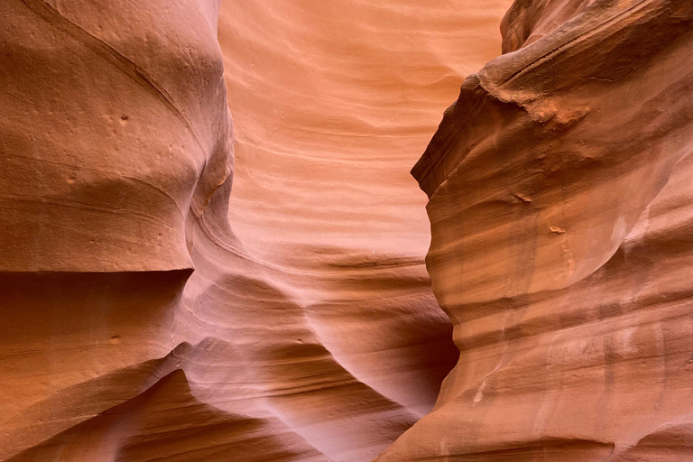 Page: Wind Castle Canyon Tour with Navajo Guide